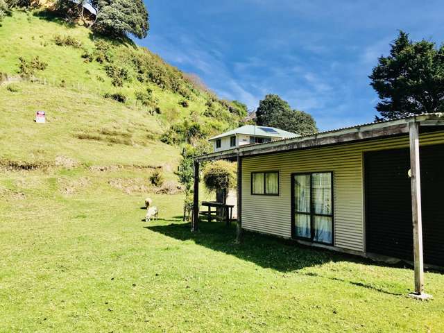 382 Lawton Drive Kawhia_1