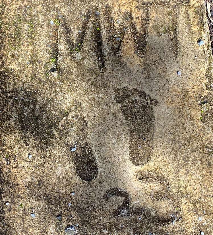 2/47 Flaxdale Street Birkdale_21