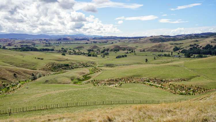 2586 State Highway 2 Maramarua_9