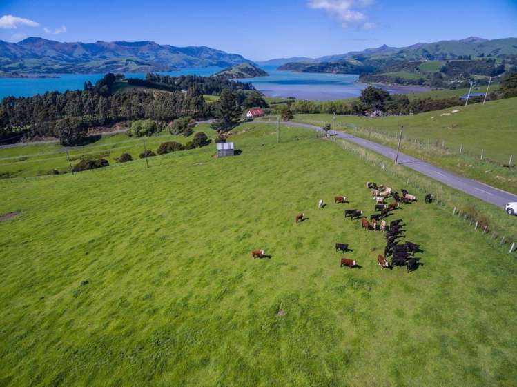 40 Pigeon Bay Road Duvauchelle_7