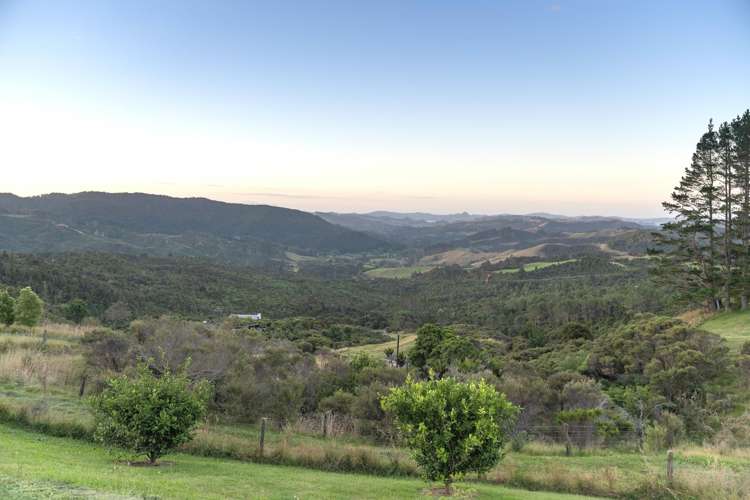 50B Paul Road Whenuakite_41