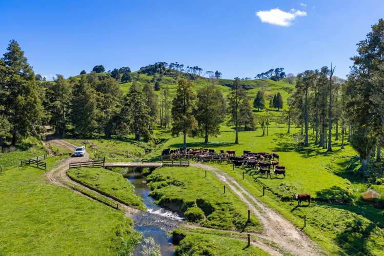 246 Allen and Eyre Road Onewhero_14