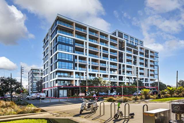 30 Madden Street Auckland Central_4