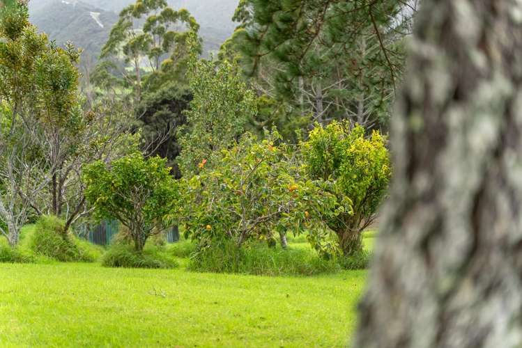 200 King Road Mangawhai_26