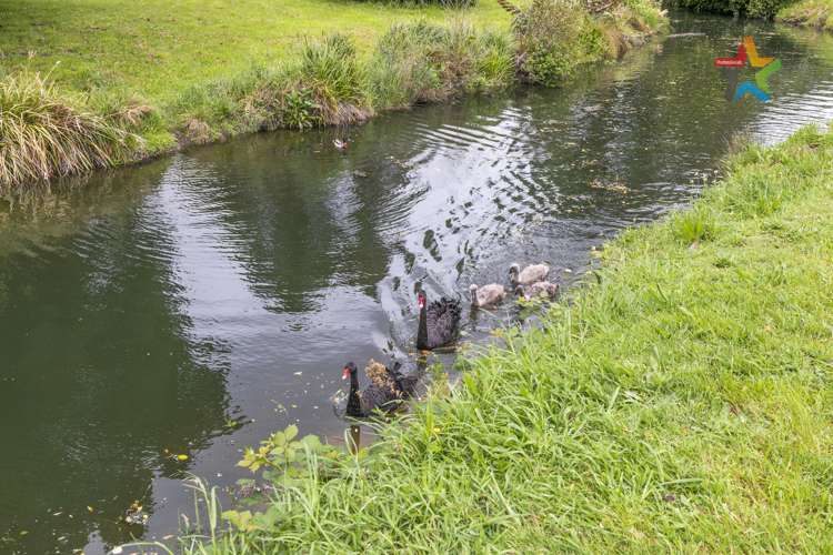 143 Riverside Drive Waiwhetu_12