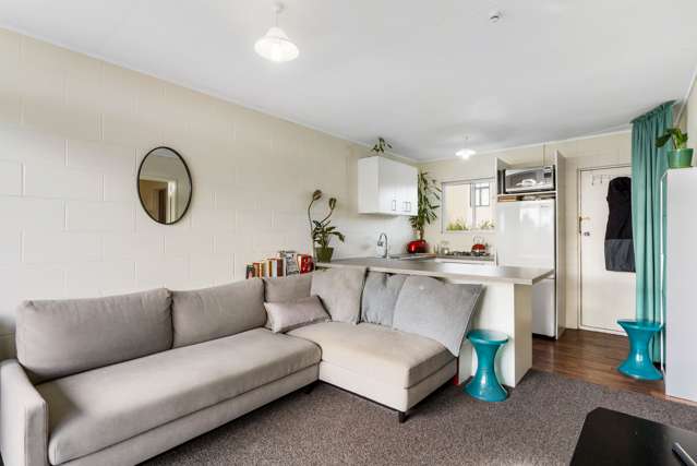 11 Balfour Road Parnell_4