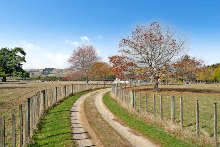 237 Te Whiti Road Masterton_37