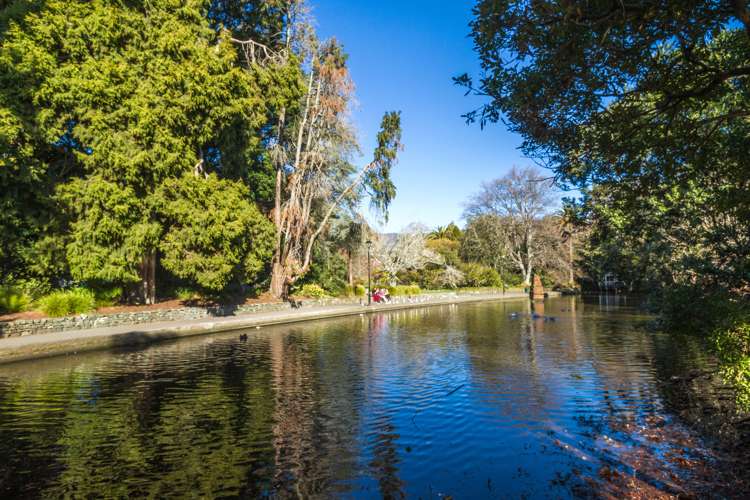 370b Hardy Street Nelson City_11