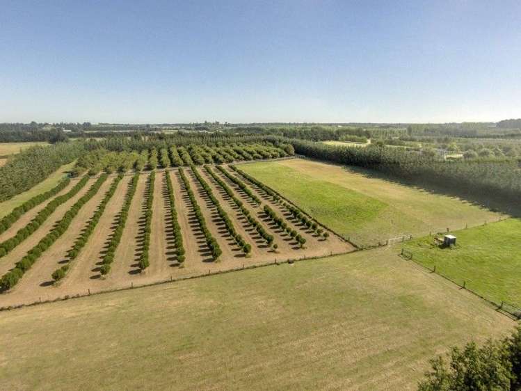 3/377 Halkett Road West Melton_2