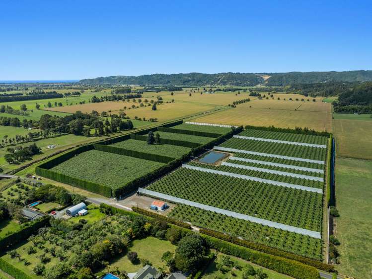 19 and 39 Butler Road Te Teko_25