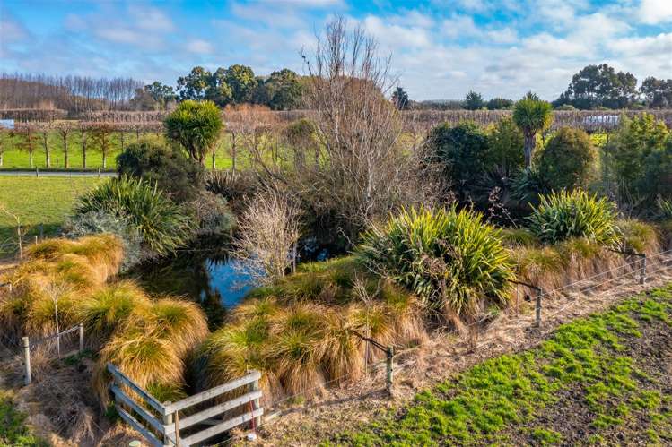 225 Heywards Road Clarkville_34