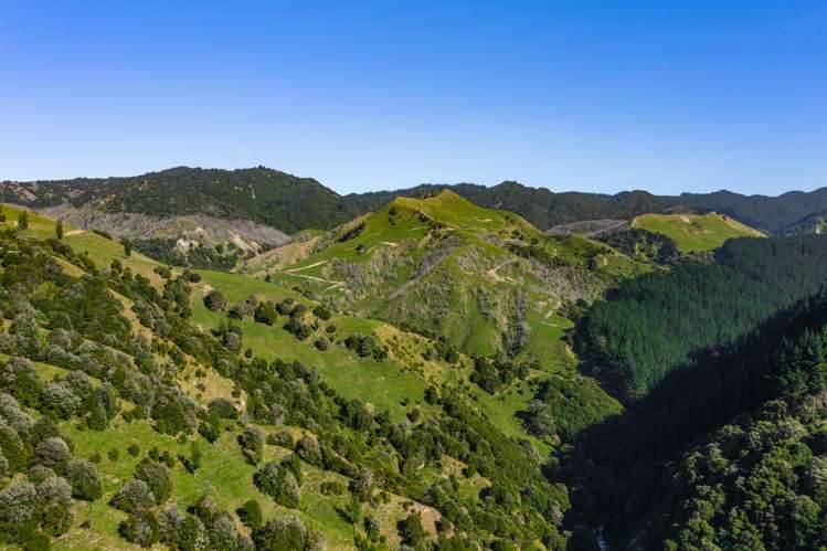 1169 Ruakaka Road Tiniroto_17