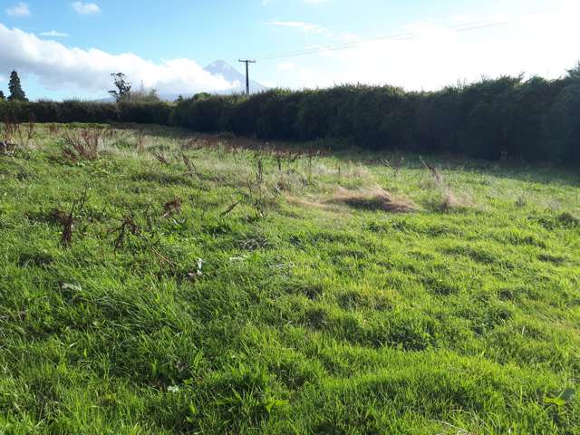 211 Surrey Road Tariki_4