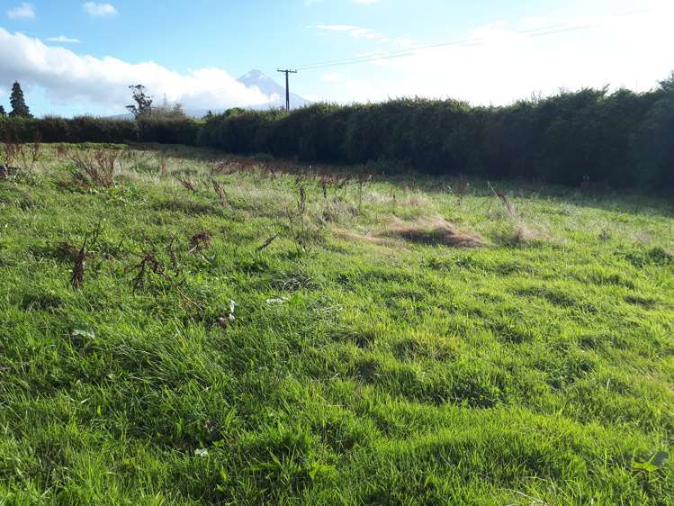 211 Surrey Road Tariki_4