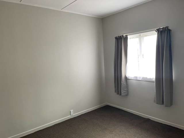 14 Linwood Avenue Mt Albert_3