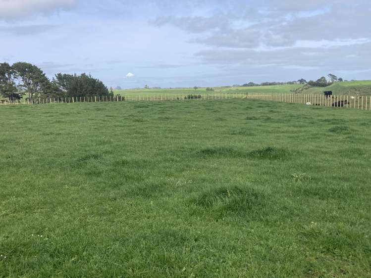 Lot 5/Near 127 Waitoetoe Road Urenui_8