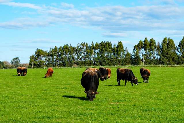 525 Woodlands-Morton Mains Road Morton Mains_2