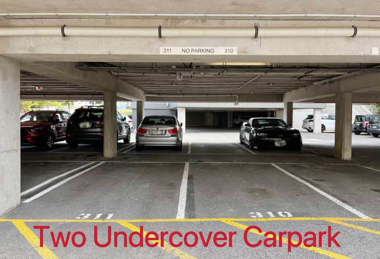 3g/27 Morning Star Place Mount Albert_12