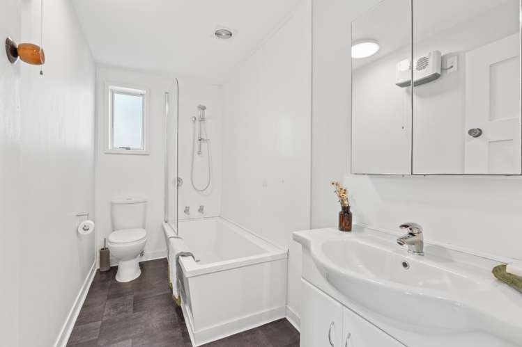 18 Richmond Street Forbury_14