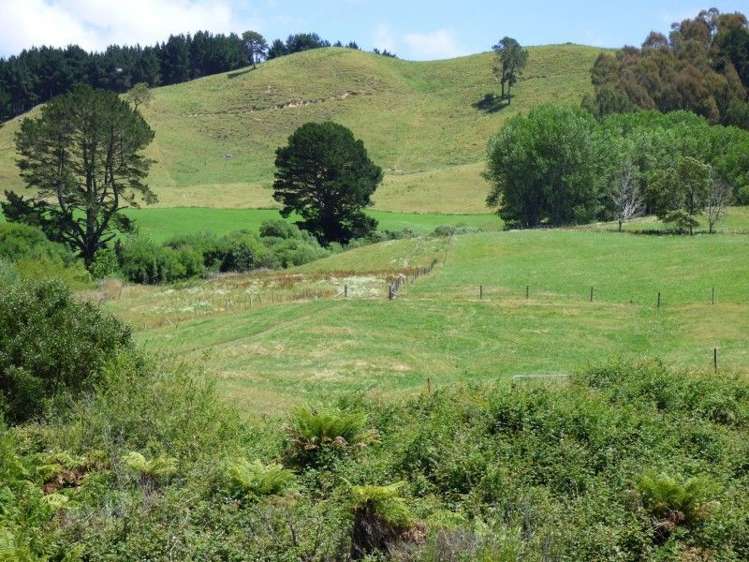 1370 Te Kopia Road Waikite Valley_16