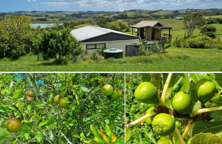 208 Petley Road Paparoa_9