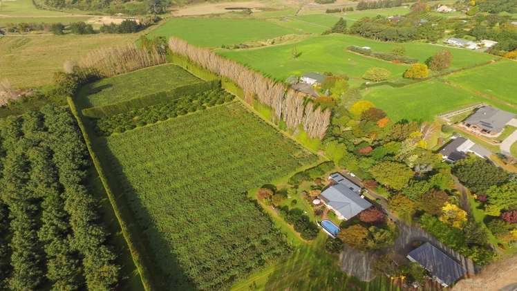 112 Te Puna Road Te Puna_5