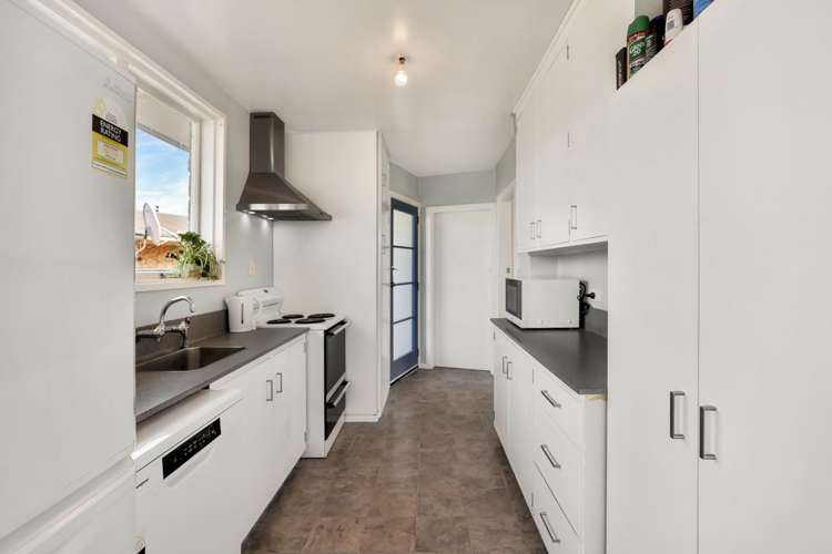 65 George Street Tinwald_5