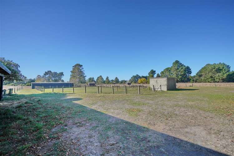 48 Hasketts Road Templeton_7