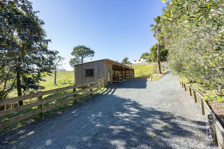 46 Potter Road Dairy Flat_64