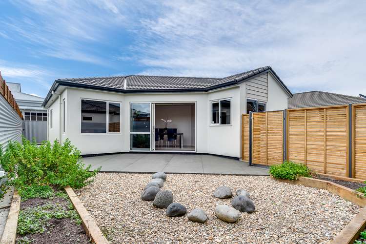 8j Nelson Crescent Napier South_0