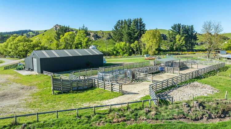 Quarry Road Loburn_12