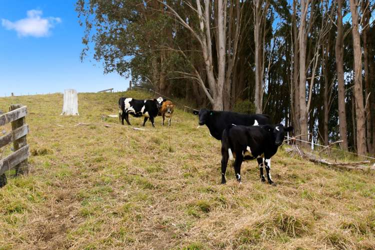 519 Otamarakau Valley Road Pukehina_22