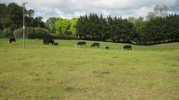 228 Smith Road Dannevirke_7