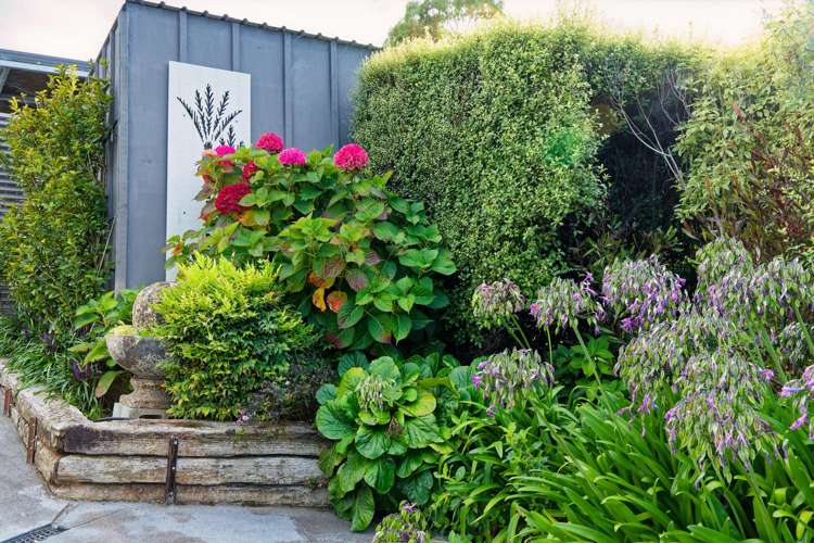 84b Churchill Street Kaikoura_54