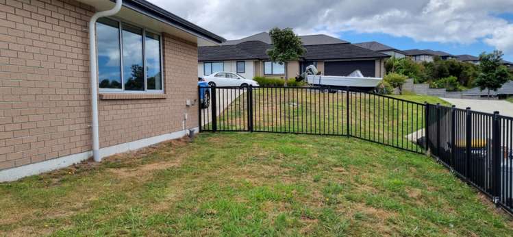 49 John Andrew Drive Warkworth_13