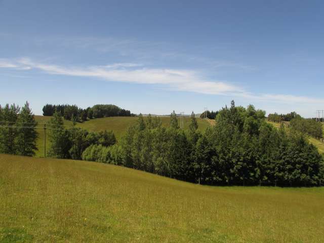 210 Terry Road Gore_3