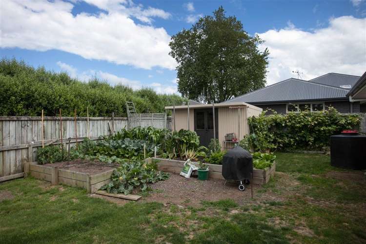 6 Brancaster Place Cambridge_21