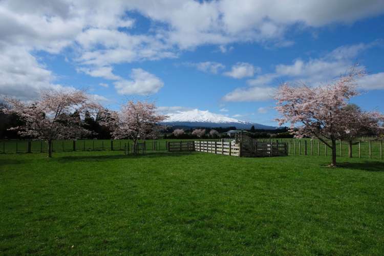 45 Tawhero Road Ohakune_15