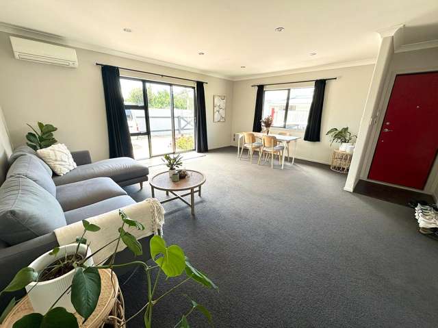 16A Lombard Street Palmerston North_1