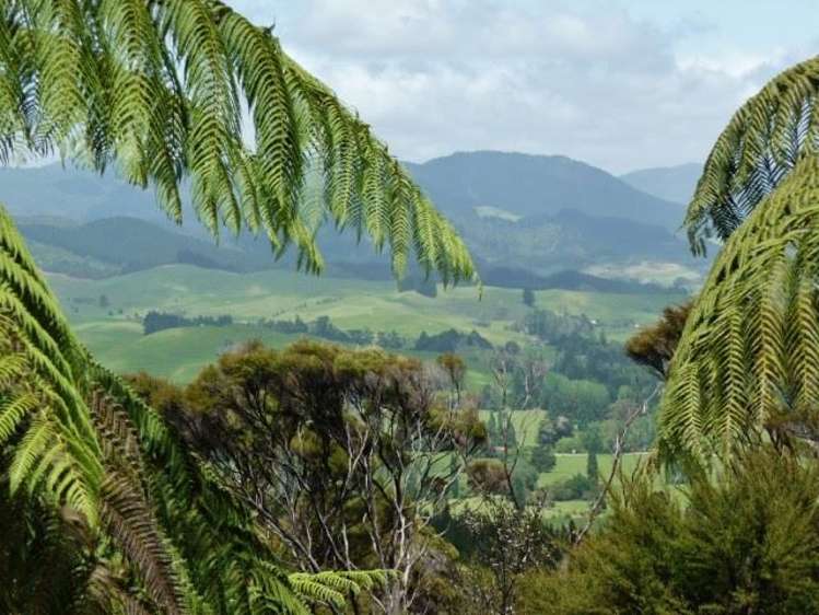 251 Dangen Road Peria_26