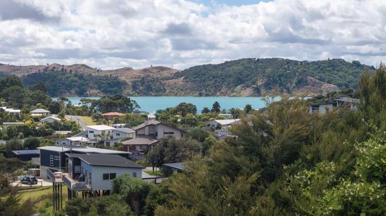 5 Primrose Street Raglan_4
