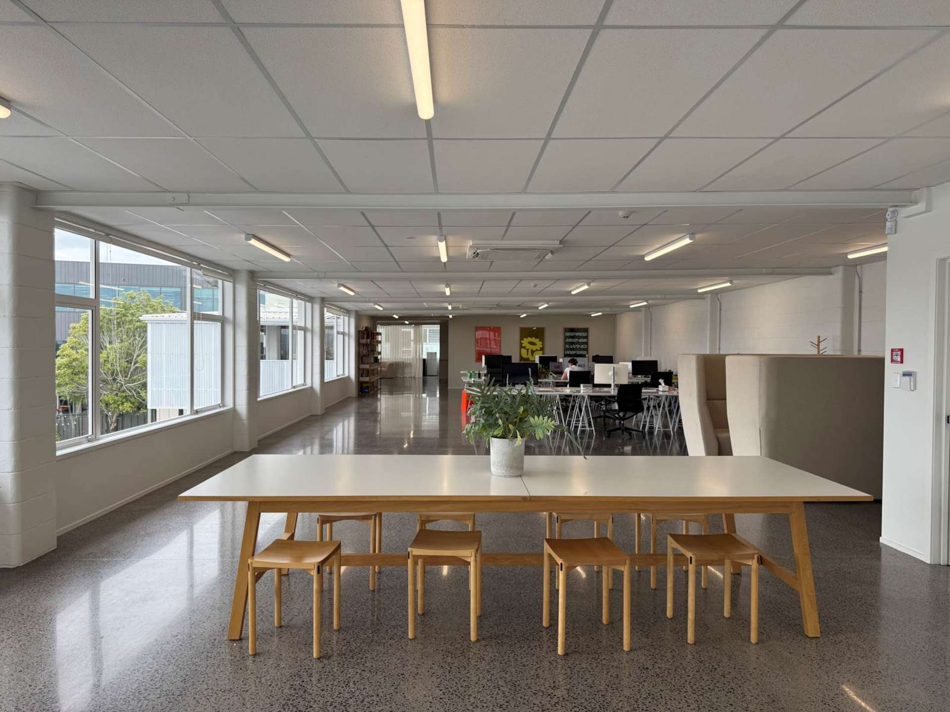 13 Maidstone Street Grey Lynn_0