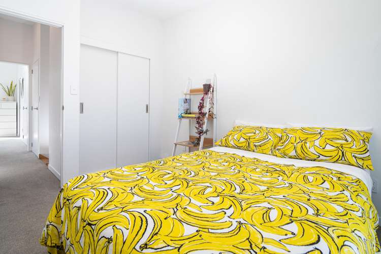 26 Palm Grove Berhampore_24