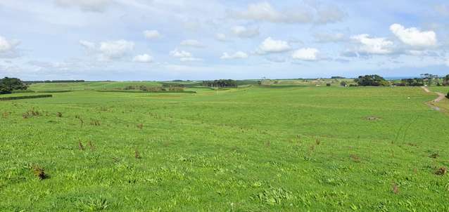 190 Inaha Road Manaia_3