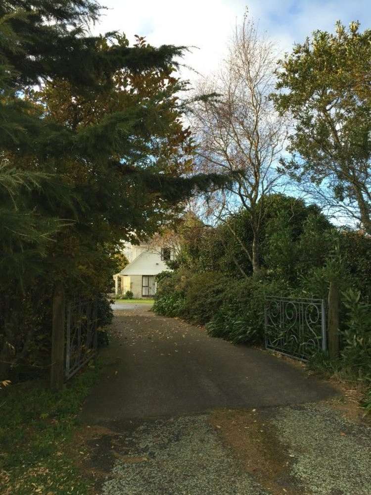 311 Opunake Road Cardiff_43