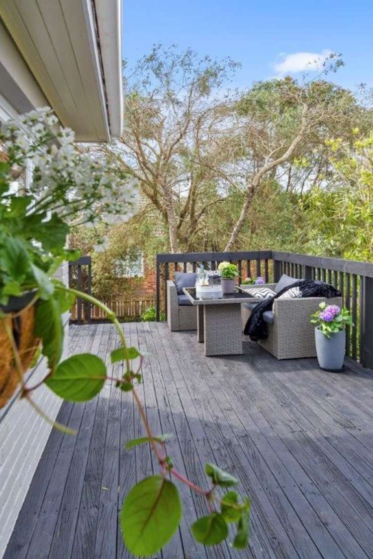 129 Astley Avenue New Lynn_16