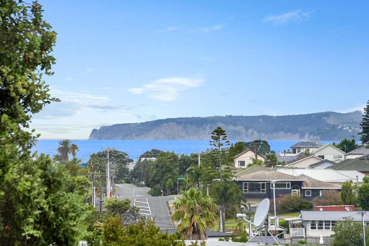 16 Albatross Road Red Beach_12