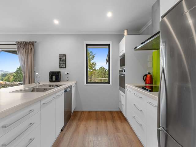 233 Te Tahi Rd Pirongia_4