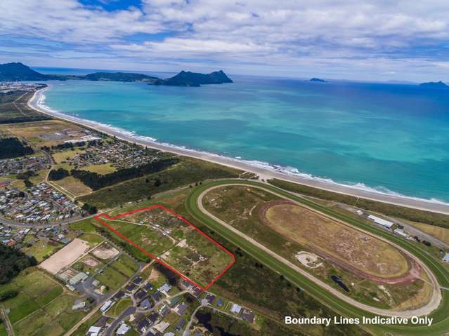 98 Peter Snell Road Ruakaka_4