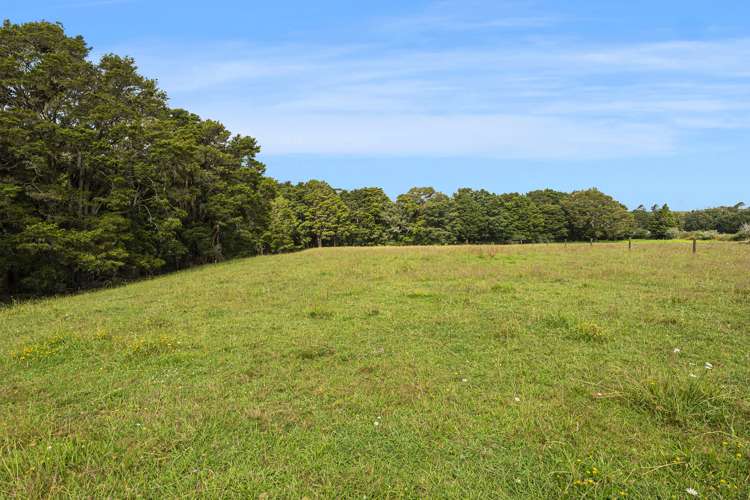 453 Pigs Head Road Hukerenui and Surrounds_20